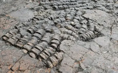 Troben un paviment d’ossos d’animals del segle XV en una excavació dels Països Baixos