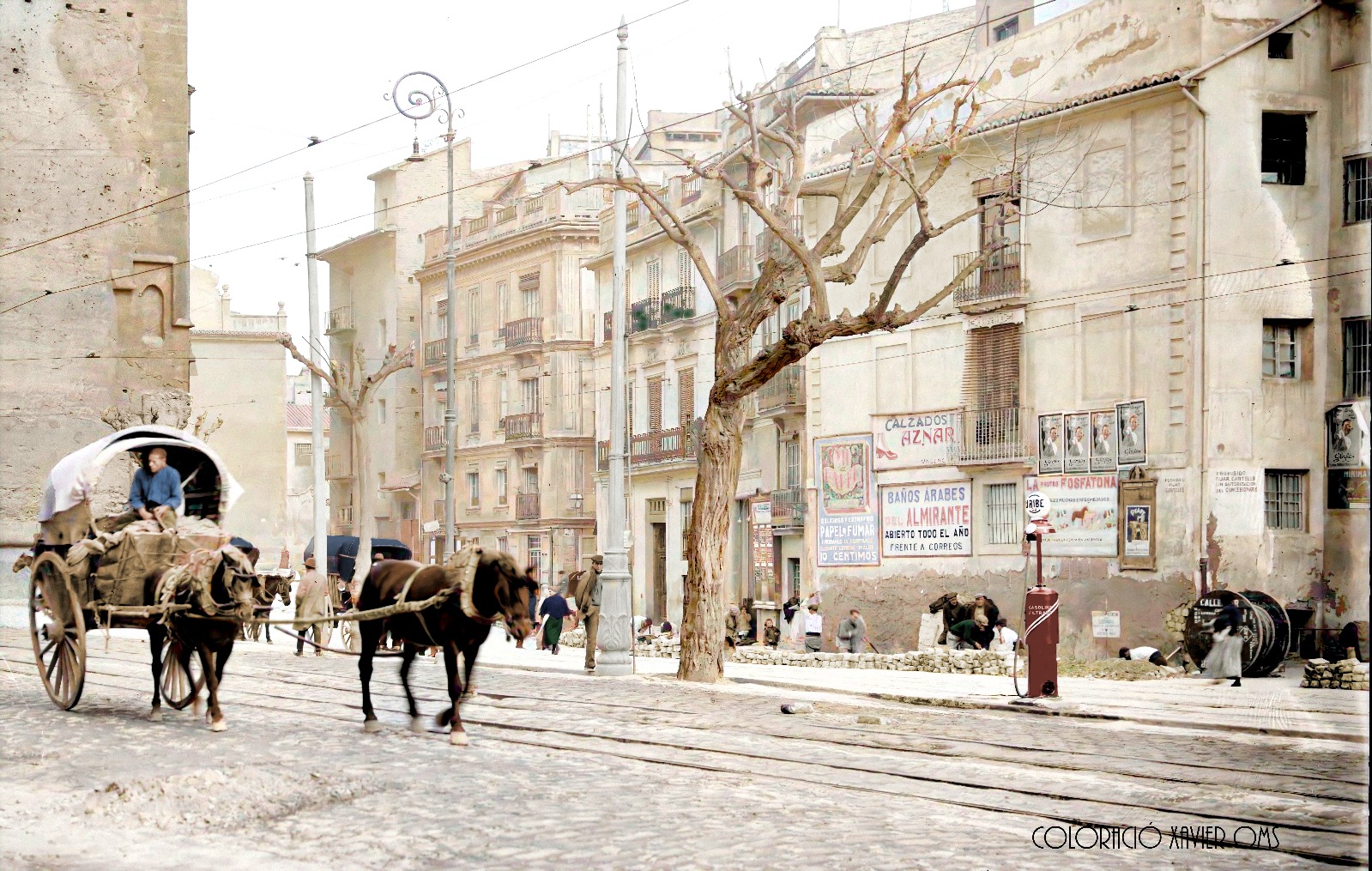 WhatsApp Image 2025-03-03 at 08.49.12 (1)