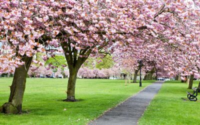 Les quatre estacions