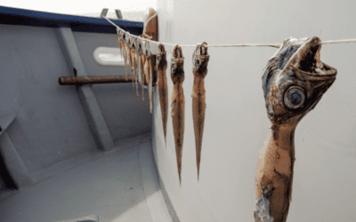 El pescaturisme pot evitar les barques desballestades?