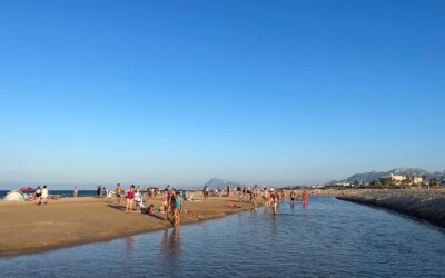 Estiu de sembrar paraules