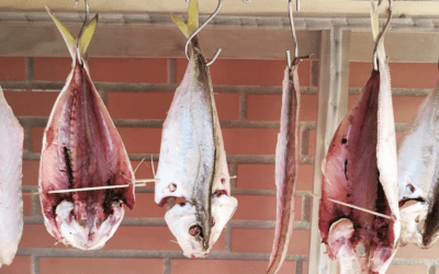 Miró Cuina, l’art de la mar en la muntanya