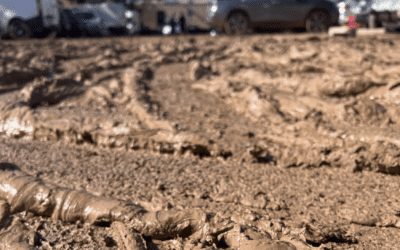 Hem tingut molta sort