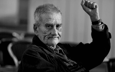 Més vides que un gat