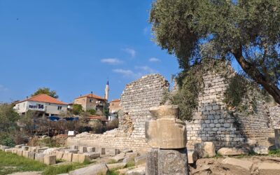 El país de l’olivera