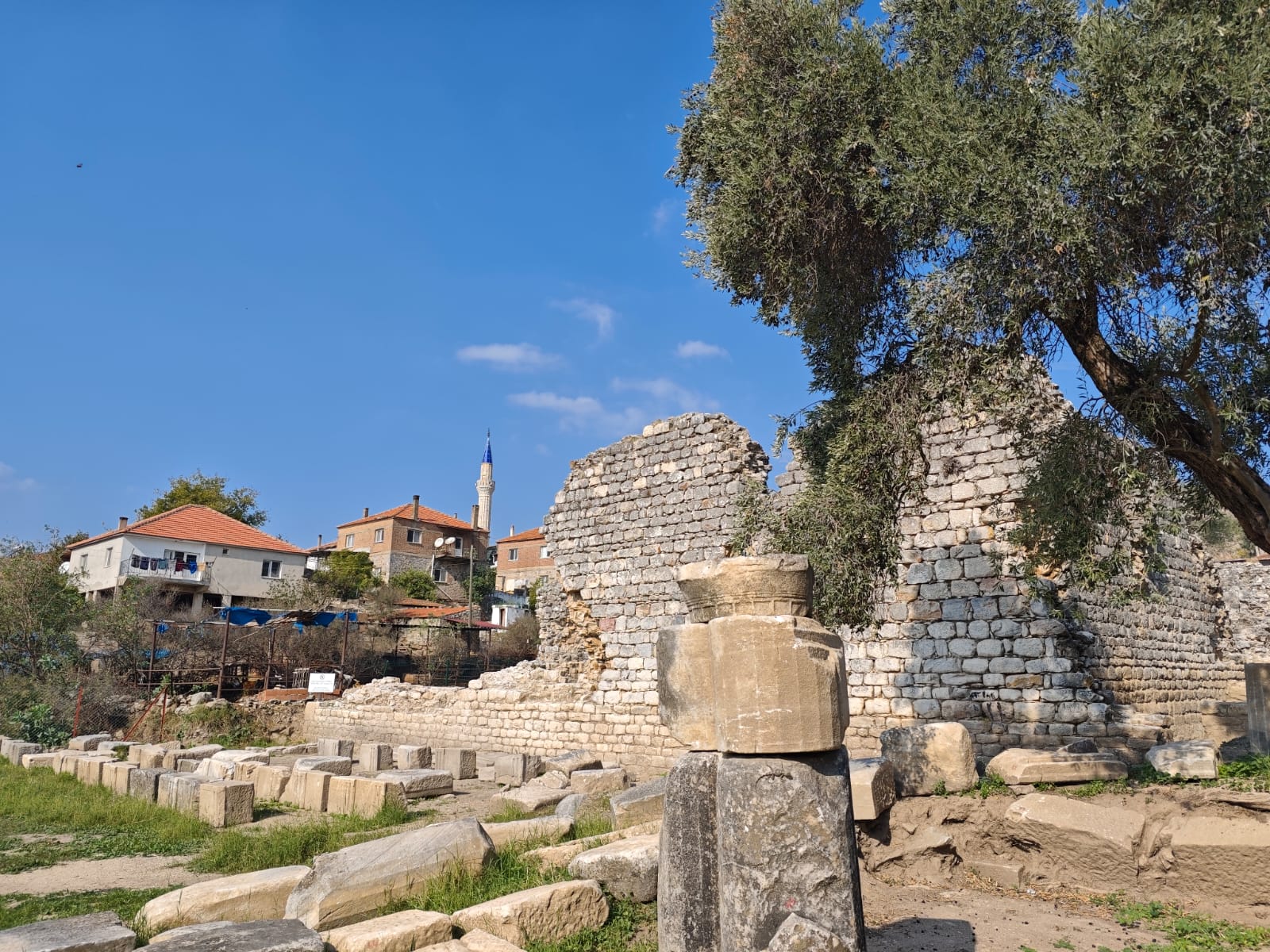 IMG-20251107-WA0038 (1)