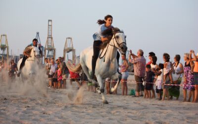 El joc de la resistència