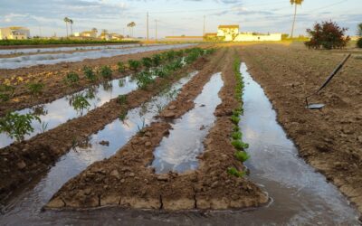 Poetes a l’Alqueria torna a Borbotó amb Jèssica Ferrer i Begonya Pozo