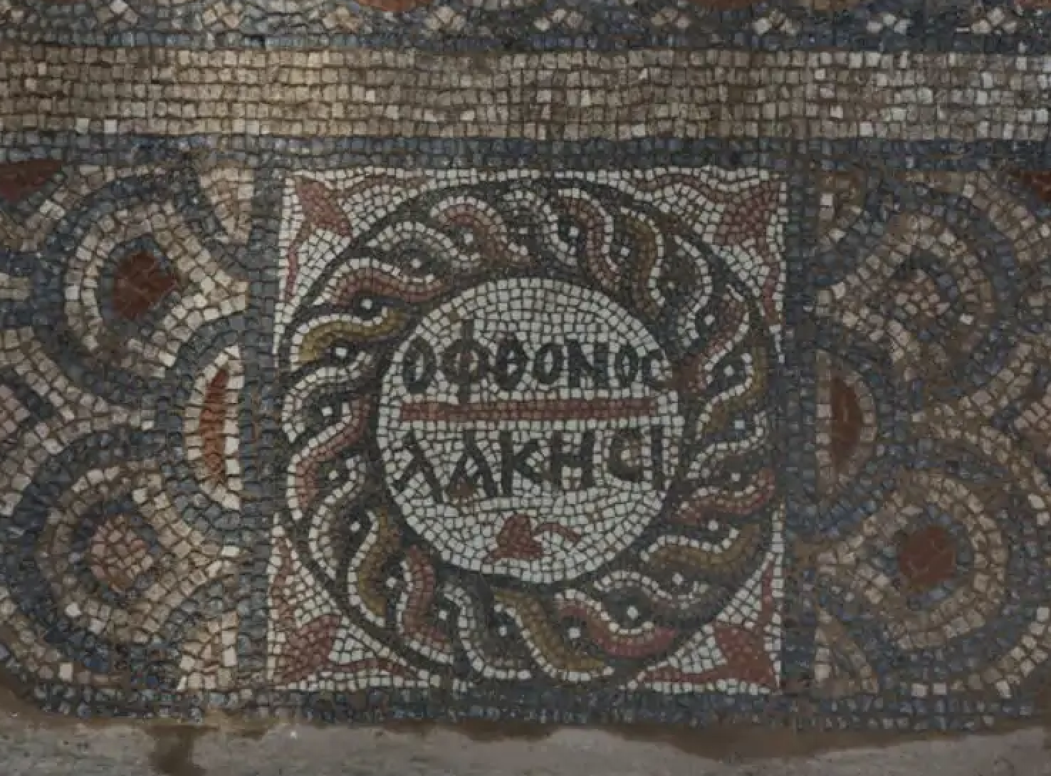 Captura de pantalla 2026-03-31 a les 7.19.30