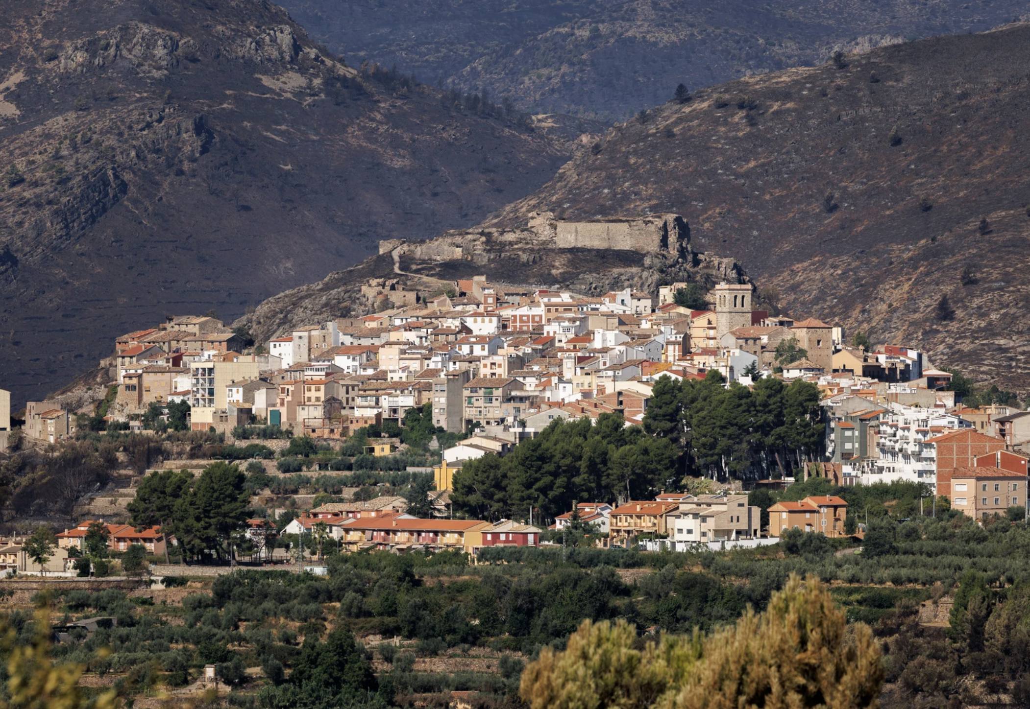 Captura de pantalla 2026-07-19 a les 18.14.19