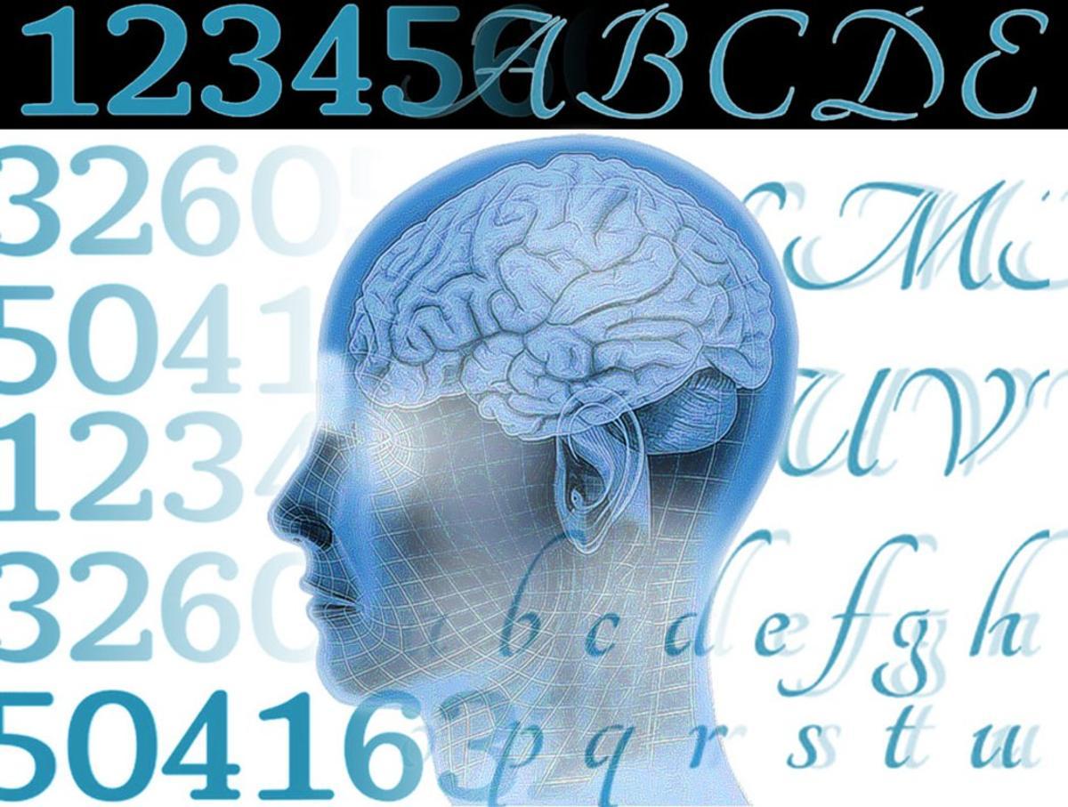 65ea8dc9-fead-4c9f-90ec-9b2734949e5b_alta-libre-aspect-ratio_default_0