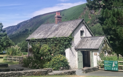 Irlanda, l’illa que mai oblidà